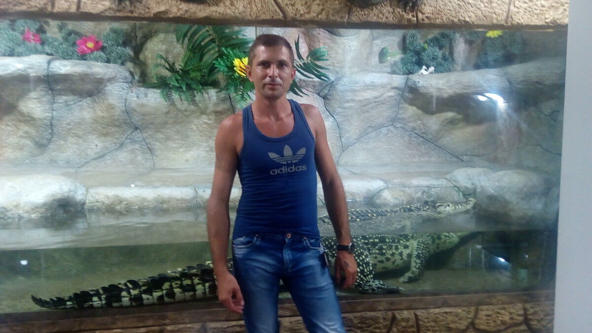  --,   , 43 ,   