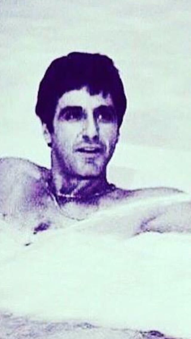 ���� 44344462 ������� Shah, 48 ���, ���� ���������� � ������