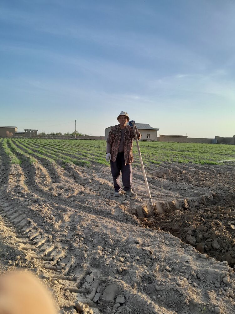  49750682  Tora, 56 ,    