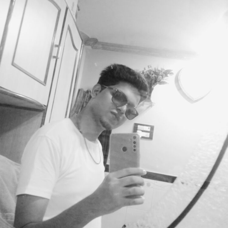  48177602  , 22 ,    