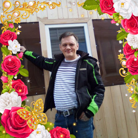  26231932  , 56 ,    -