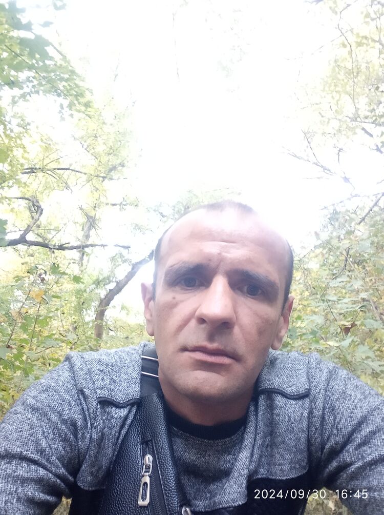  -,   , 38 ,   ,   , c 