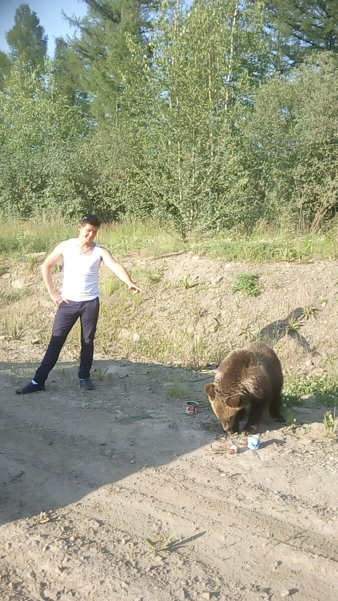 ���������� �����������, ���� ������� �����, 33 ����, ������������ ��� ������, ����� � ���������, c�������� ���������