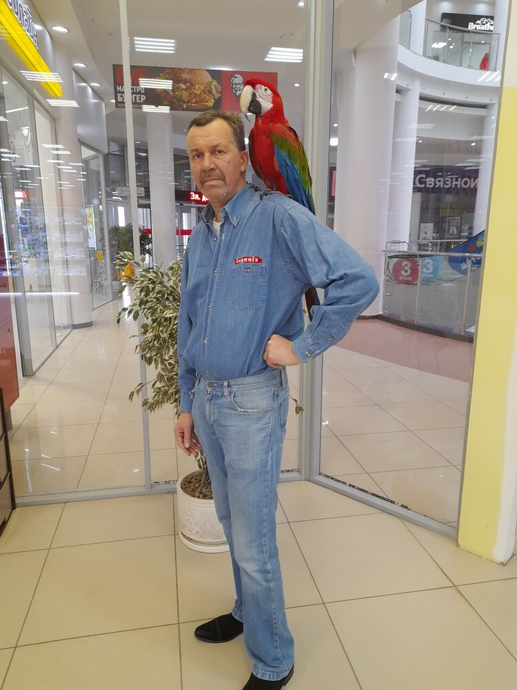  ,   , 56 ,   ,   