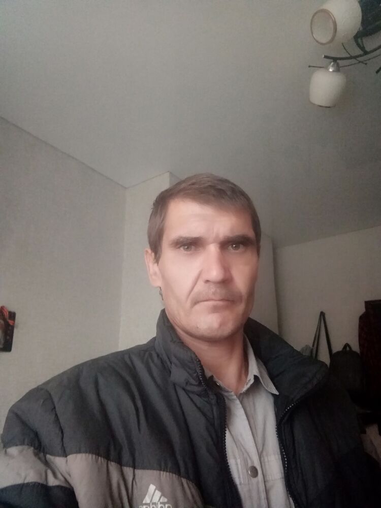  38338702  , 44 ,    