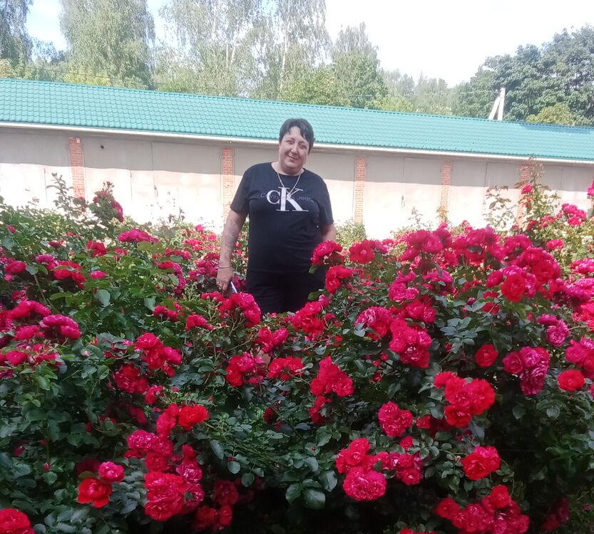 ���� 54597272 ������� ����, 40 ���, ���� ���������� � ������