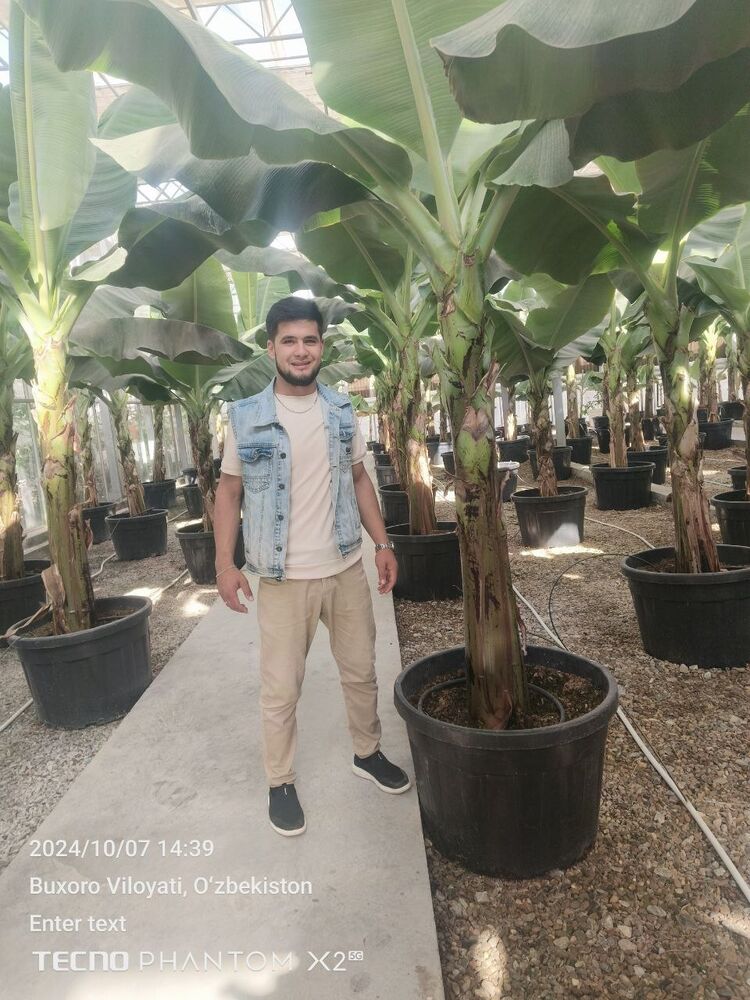 ���������� �����-���������, ���� ������� Jamshid, 27 ���, ������������ ��� ������, ����� � ���������