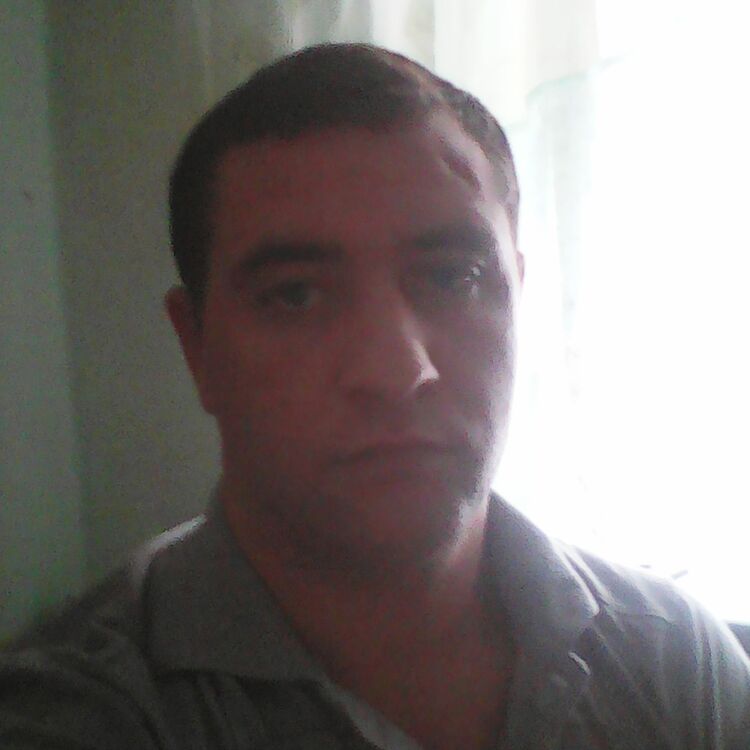  8884602  , 37 ,     