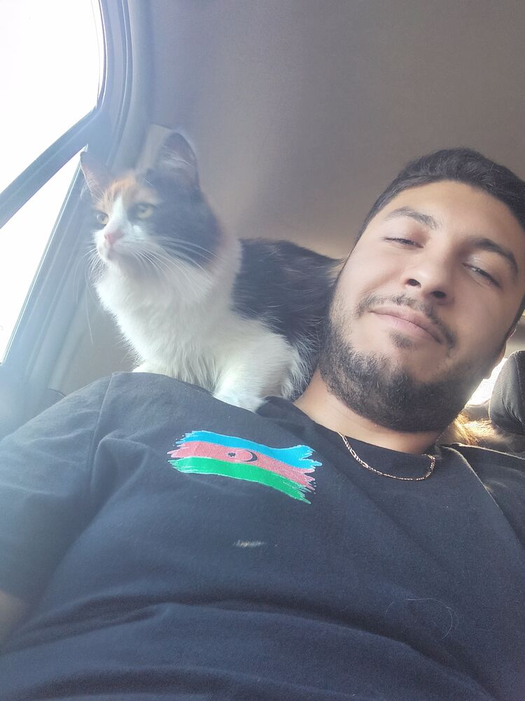  -,   , 29 ,   ,   
