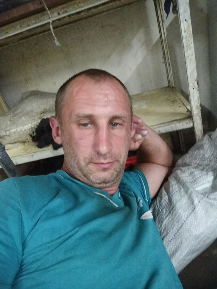  37946922  , 41 ,    
