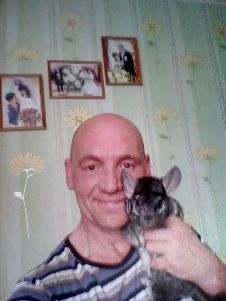  ,   , 51 ,     , c 