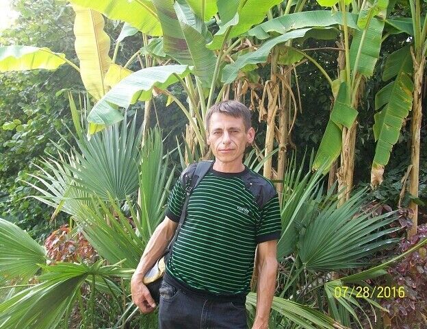  ,   , 50 ,   ,   , c 