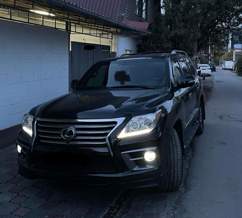 ���� 55143942 ����� �����, 25 ���, ���� ���������� � �������-�����