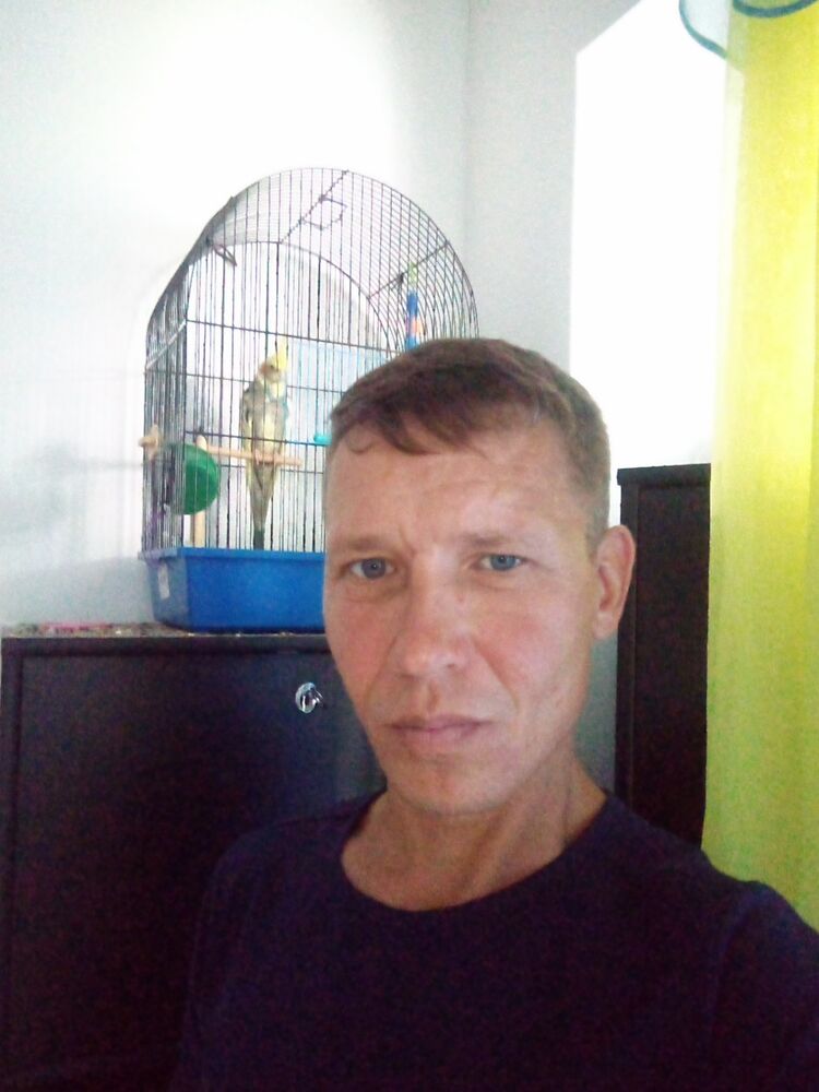  -,   , 39 ,   ,   , c , 