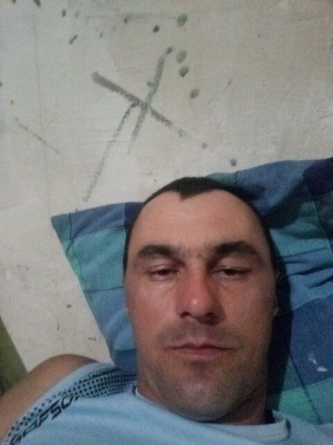  12499592  , 38 ,    