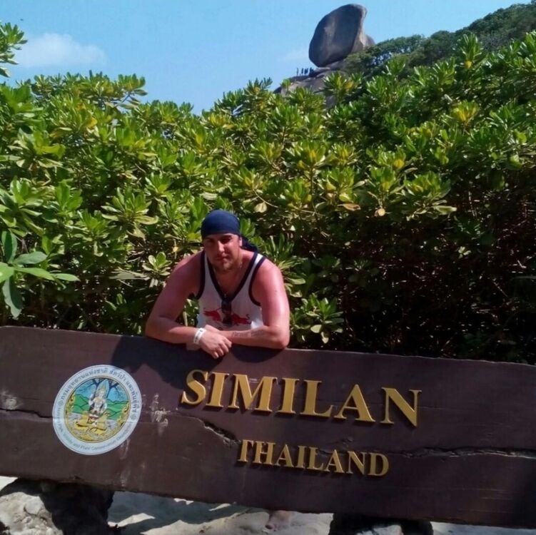  36008582  , 33 ,    -