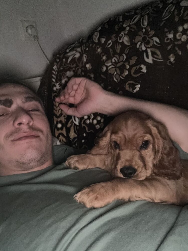 ���� 55999212 ������� ����, 30 ���, ���� ���������� � ����������