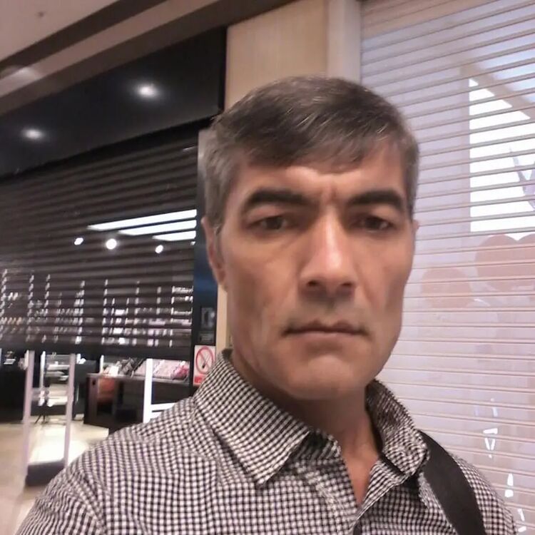  29765262  , 53 ,    