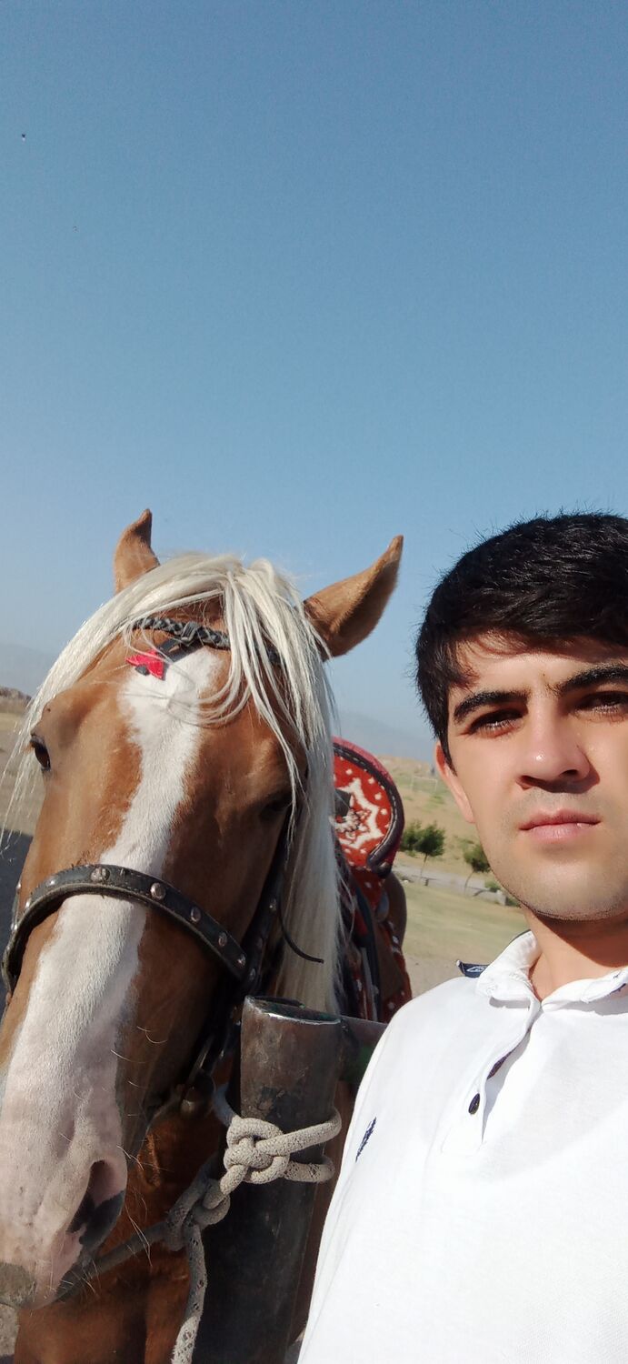 ���������� �������, ���� ������� Tahir, 36 ���, ������������ ��� ������, ����� � ���������