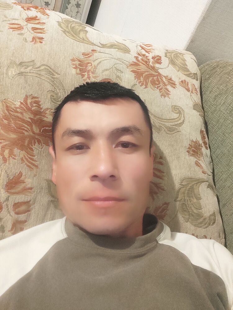  49338282  , 33 ,    Ulaanbaatar