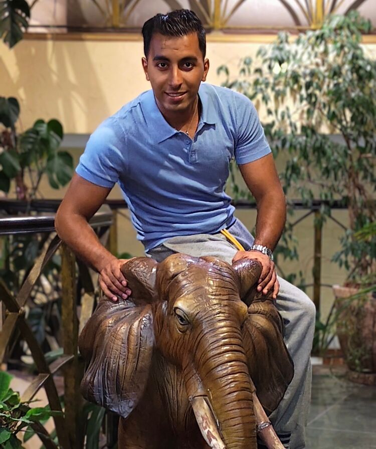 ���������� ������, ���� ������� Ibro, 36 ���, ������������ ��� ������, ����� � ���������