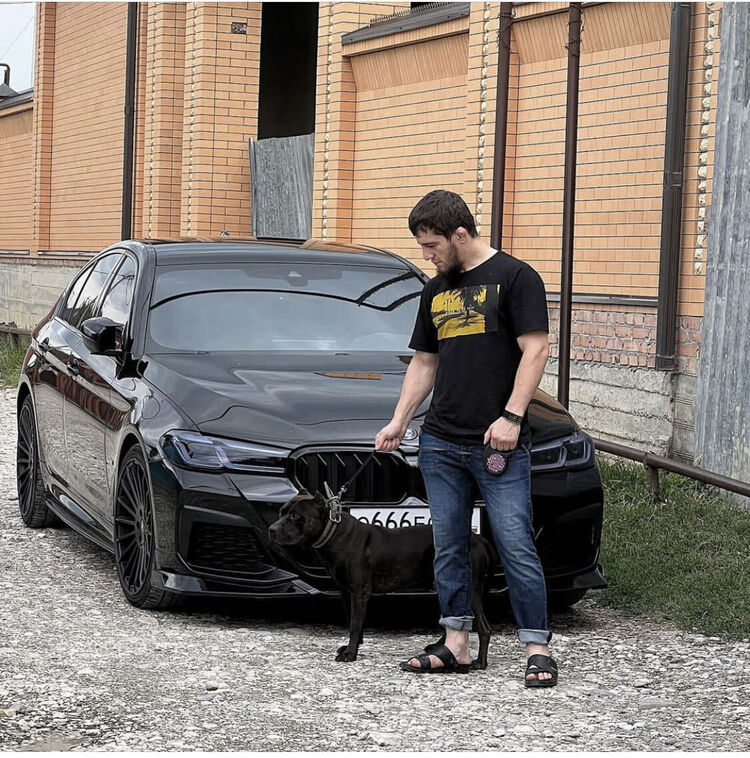 ���� 36039902 ����� AmirzoDaaaaa, 25 ���, ���� ���������� � �������