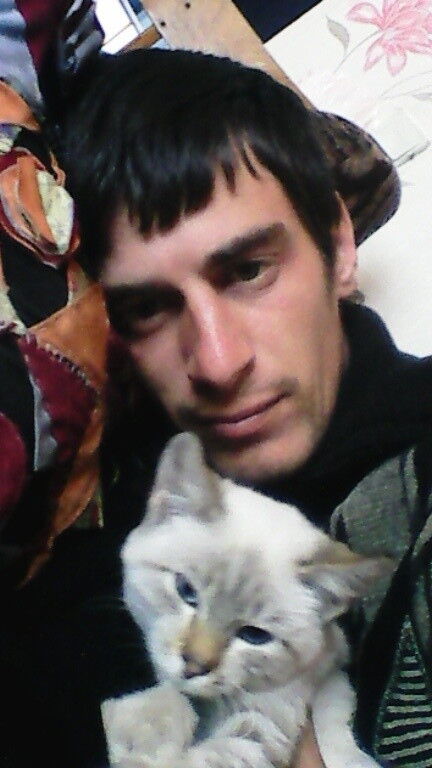 ���� 8253202 ������� �����, 38 ���, ���� ���������� � ��������