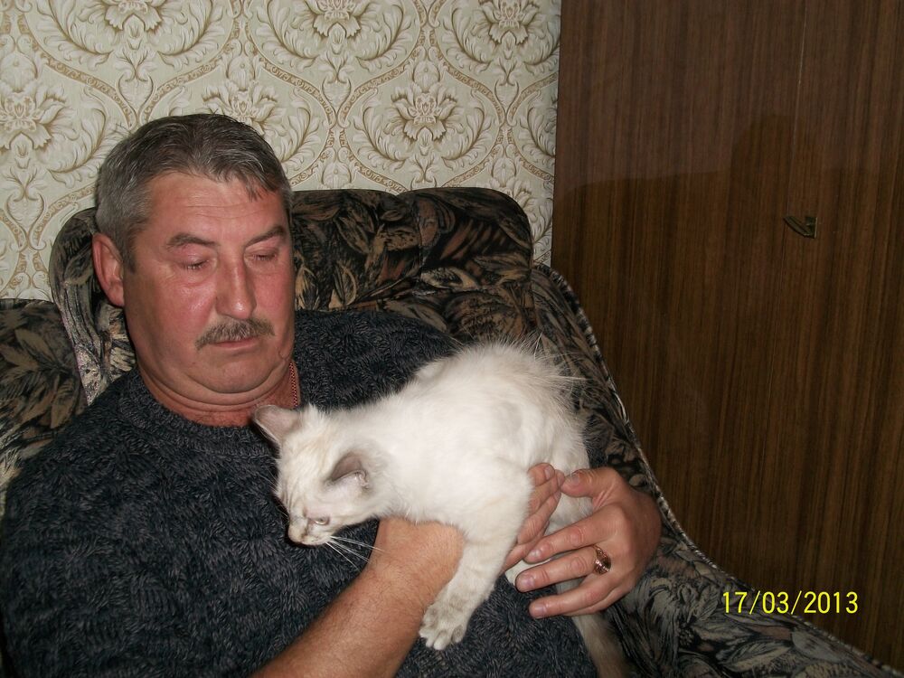  -,   , 63 ,   ,   