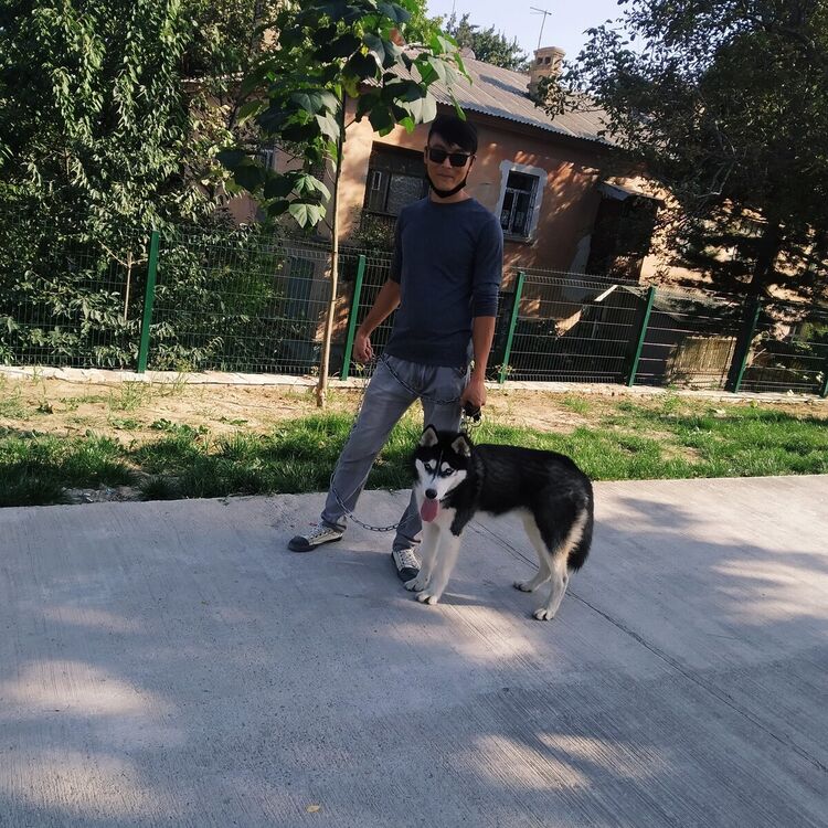 ���� 21156812 ������� ���, 34 ����, ���� ���������� � ��������