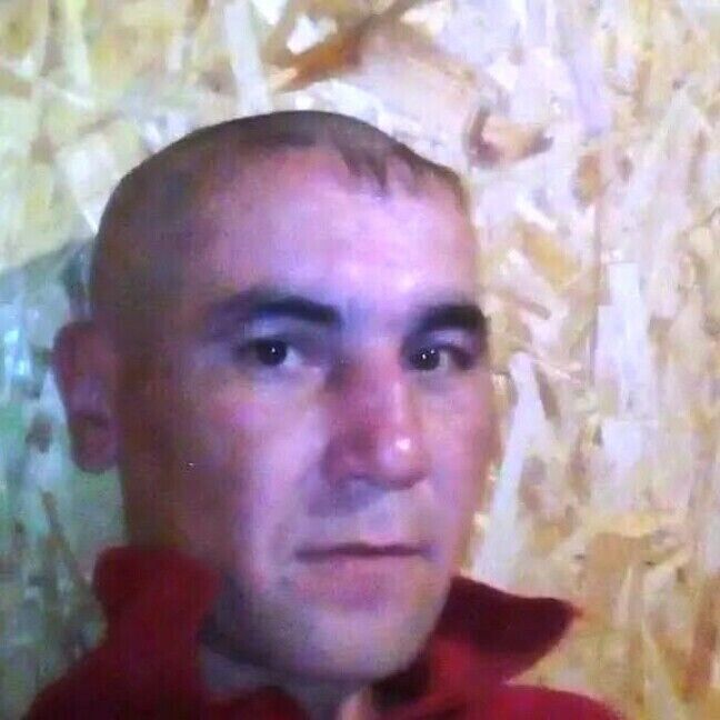  20422172  , 41 ,    