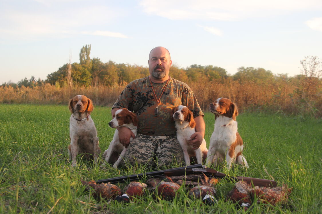  52697672  MisterX, 52 ,    