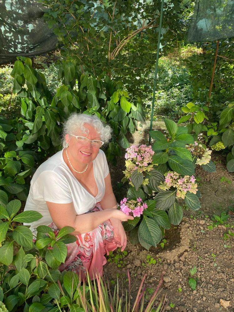 ���������� ���������, ���� ������� ��������, 70 ���, ������������ ��� c�������� ���������