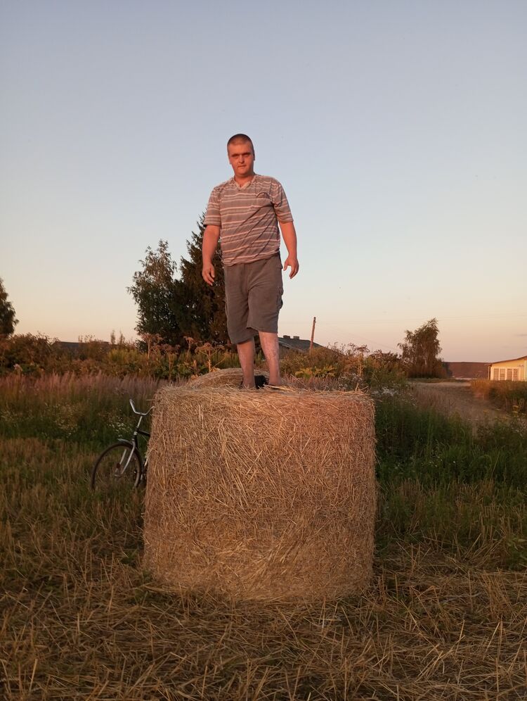  46034942  , 32 ,    
