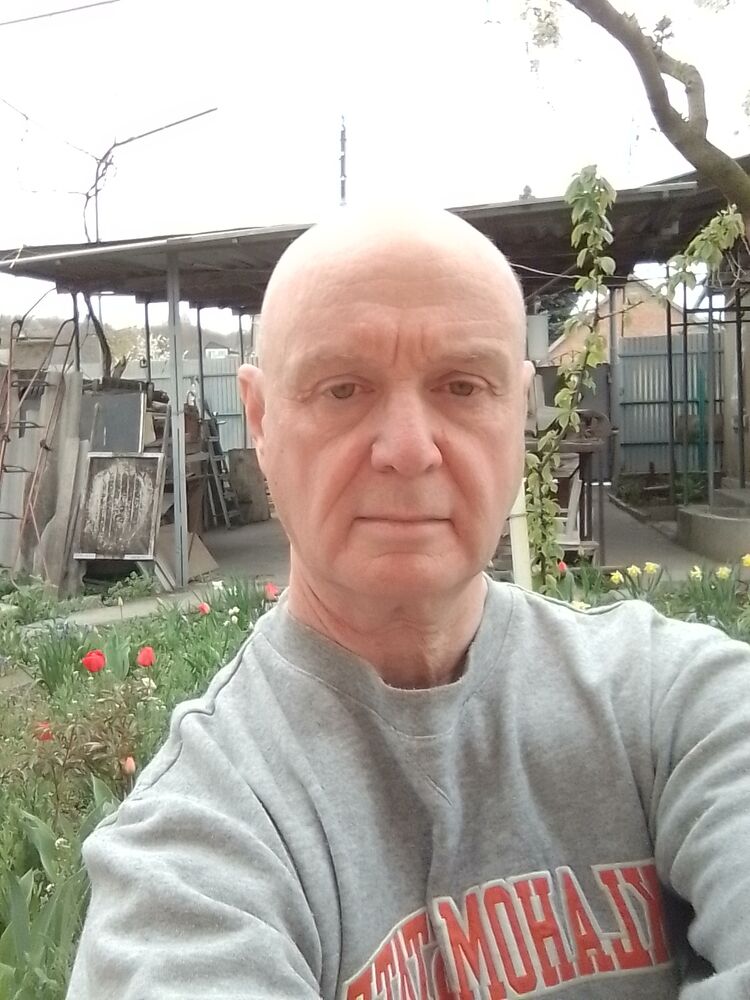  33830082  , 61 ,    