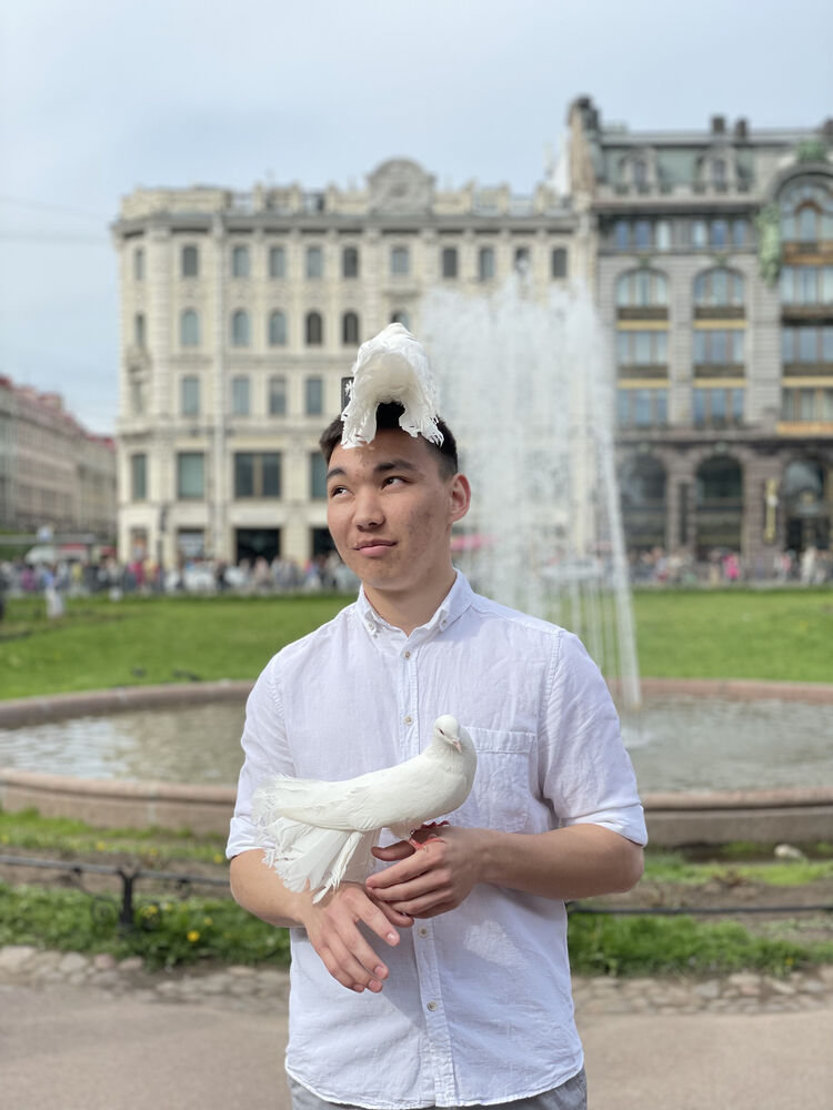 ���� 28655432 ����� ������, 24 ����, ���� ���������� � ��������