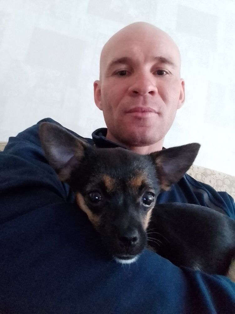 ���� 26328212 ������� ������, 40 ���, ���� ���������� � �������