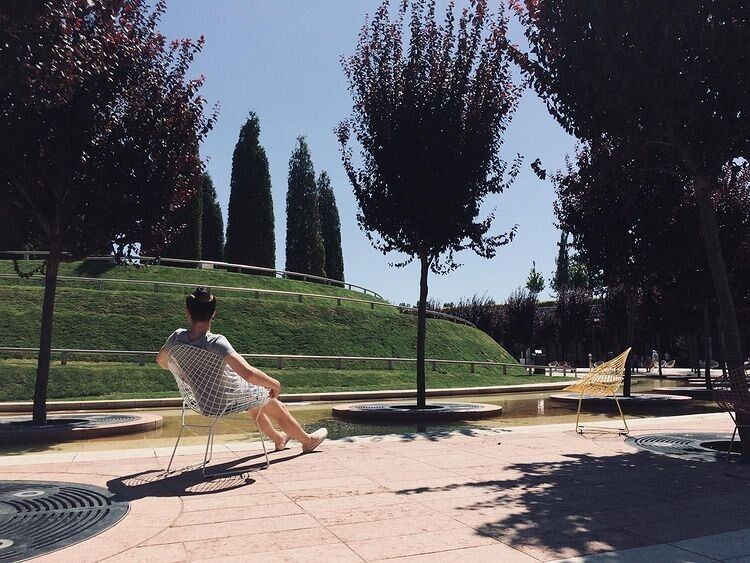 ���������� �����������, ���� ����� �����, 24 ����, ������������ ��� ������, ����� � ���������