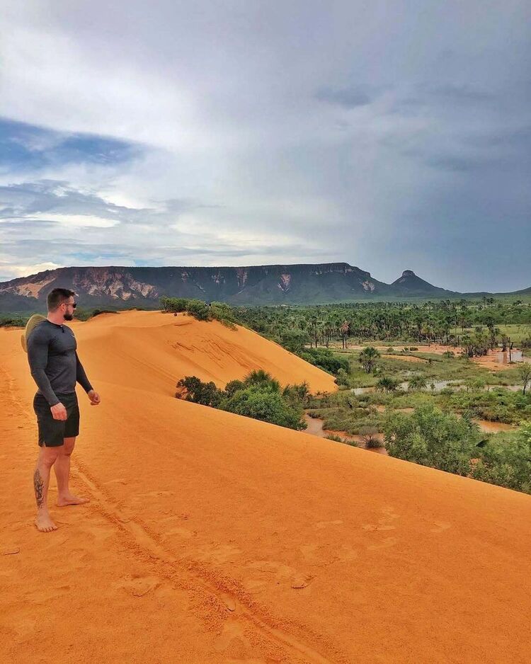  50125702  , 35 ,    -