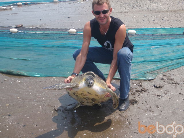 ���������� ������, ���� ������� ��� ����� 2, 50 ���, ������������ ��� ������, ����� � ���������, c�������� ���������