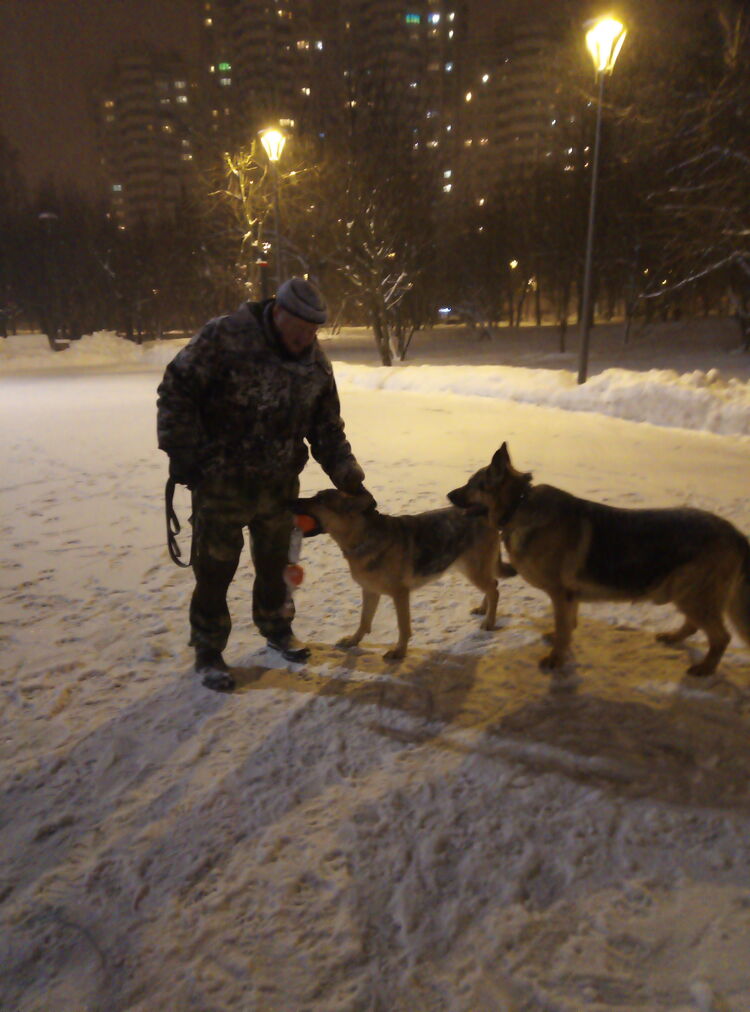 ���������� ������, ���� ������� ������, 48 ���, ������������ ��� ������, ����� � ���������