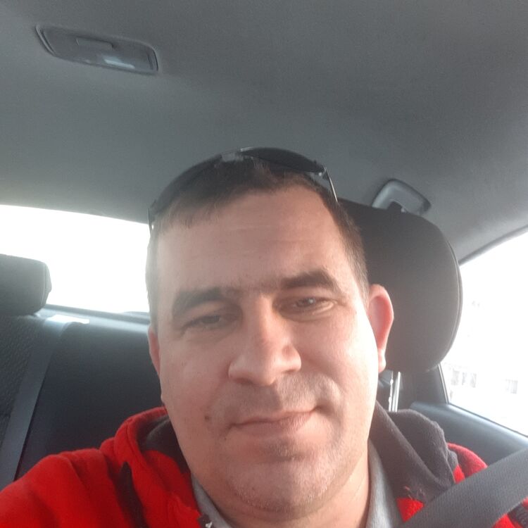 ���� 31384702 ������� ���������, 36 ���, ���� ���������� � ��������