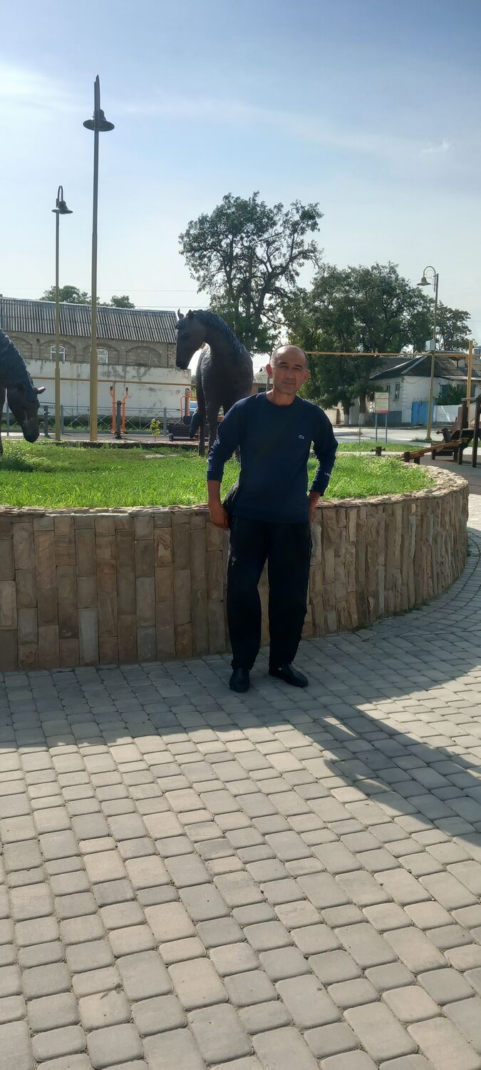 ���� 43953232 ������� ��������, 50 ���, ���� ���������� � ������