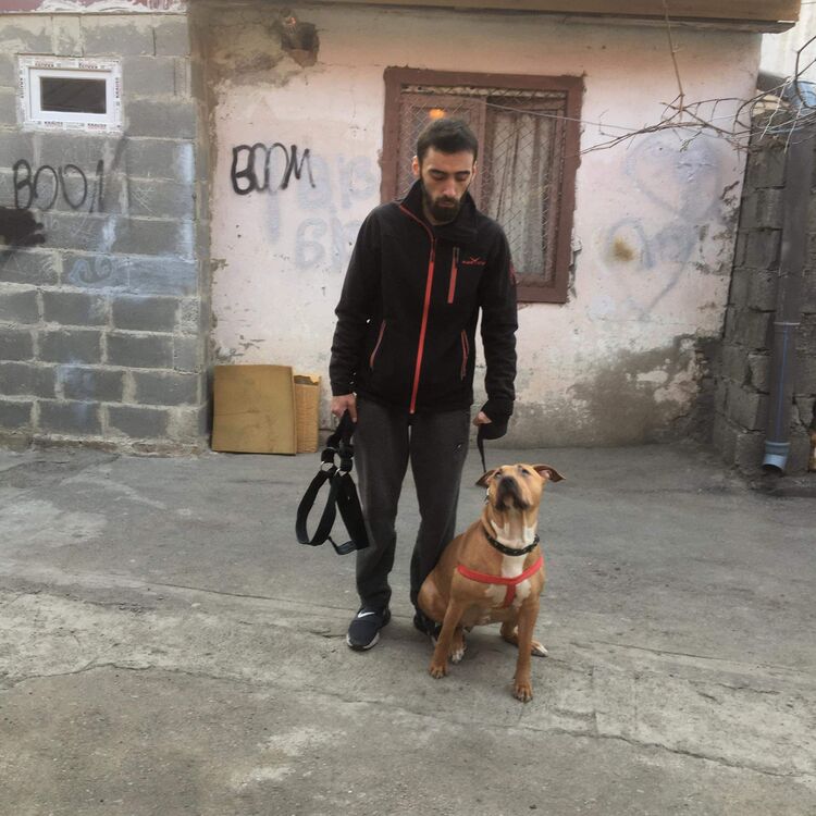 ���������� �������, ���� ������� ���������, 34 ����, ������������ ��� ������, ����� � ���������