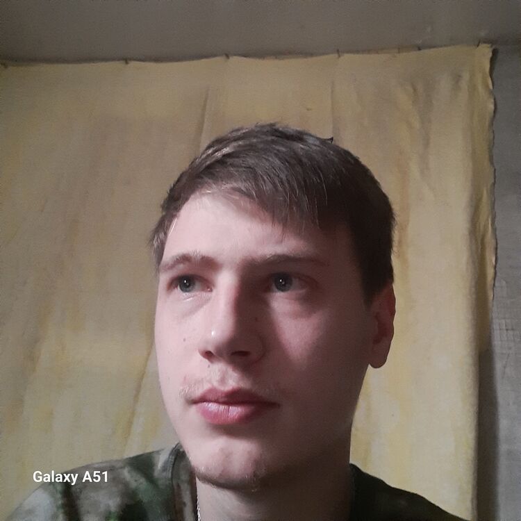  49034302  , 23 ,    