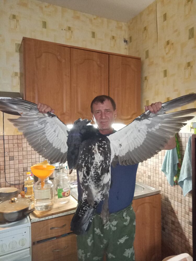  39842782  Vladimir, 56 ,    