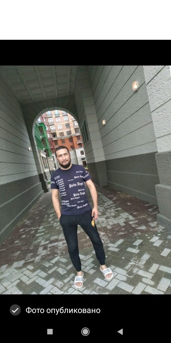  32900032  , 43 ,    