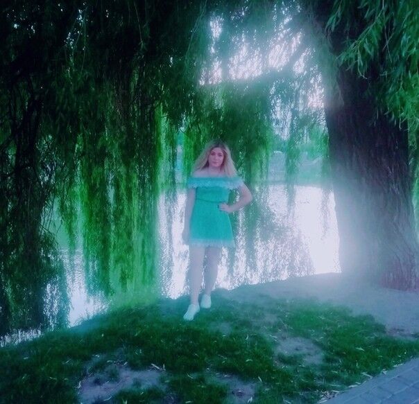 ���������� ����, ���� ������� ����, 29 ���, ������������ ��� ������, ����� � ���������, c�������� ���������