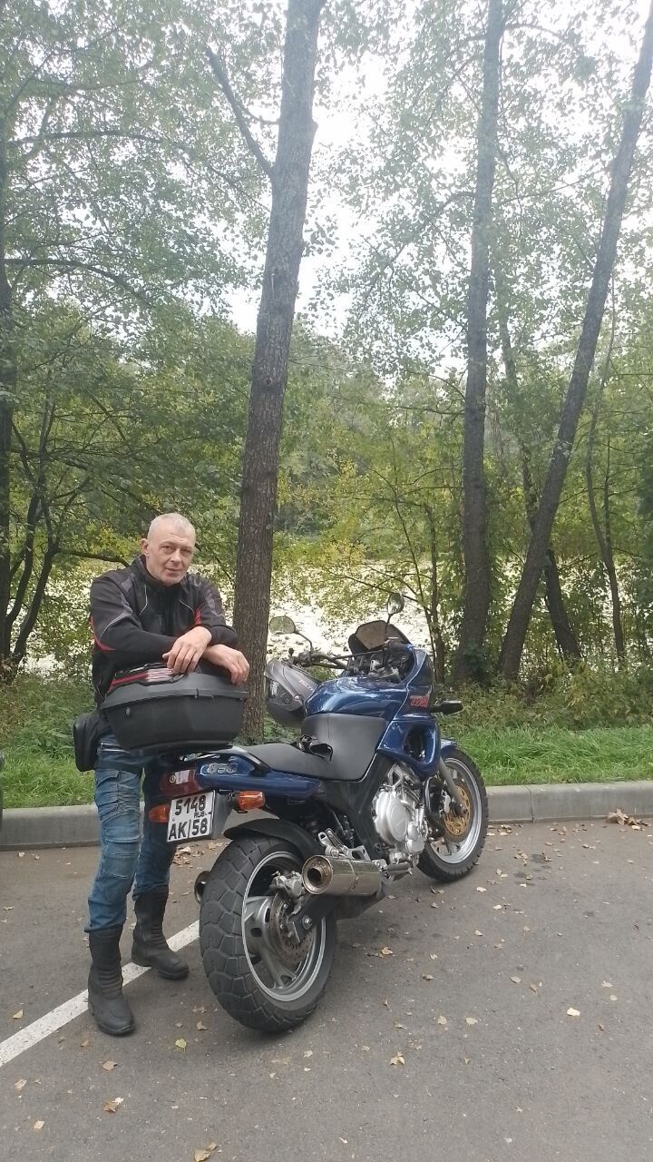  46457762  , 51 ,    