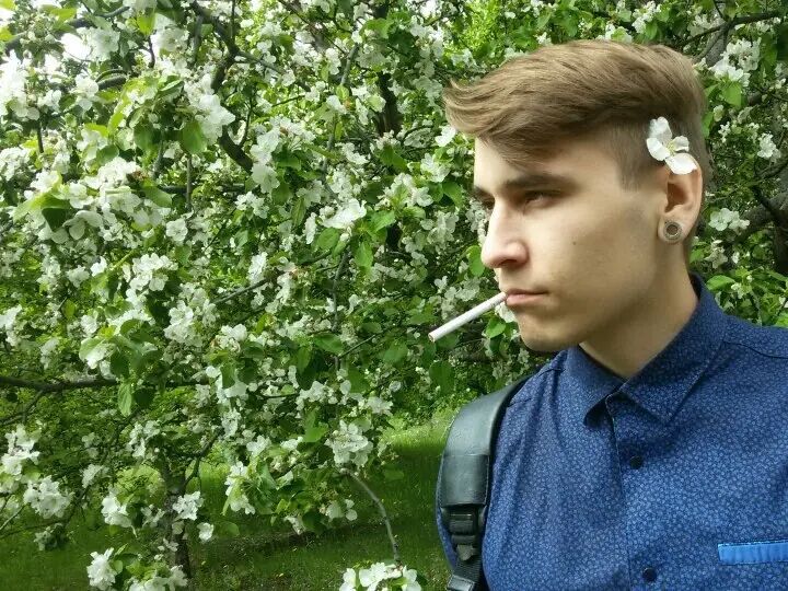 ���� 28024202 ������� ������, 29 ���, ���� ���������� � ��������