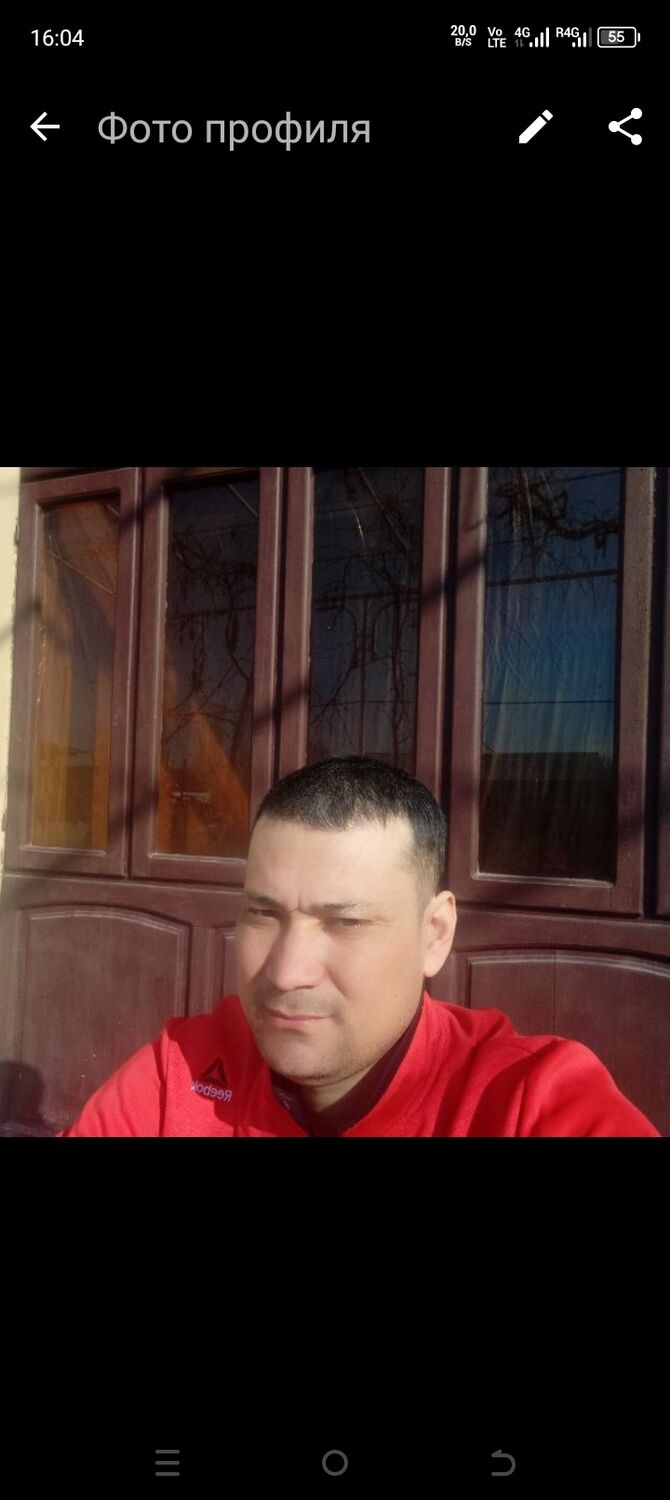  43685422  , 38 ,    